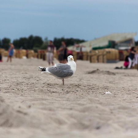 Ferienwohnungen-Neue-Tiefe-Wohnung-Kleiderbuegel Neue Tiefe Fehmarn Esterno foto