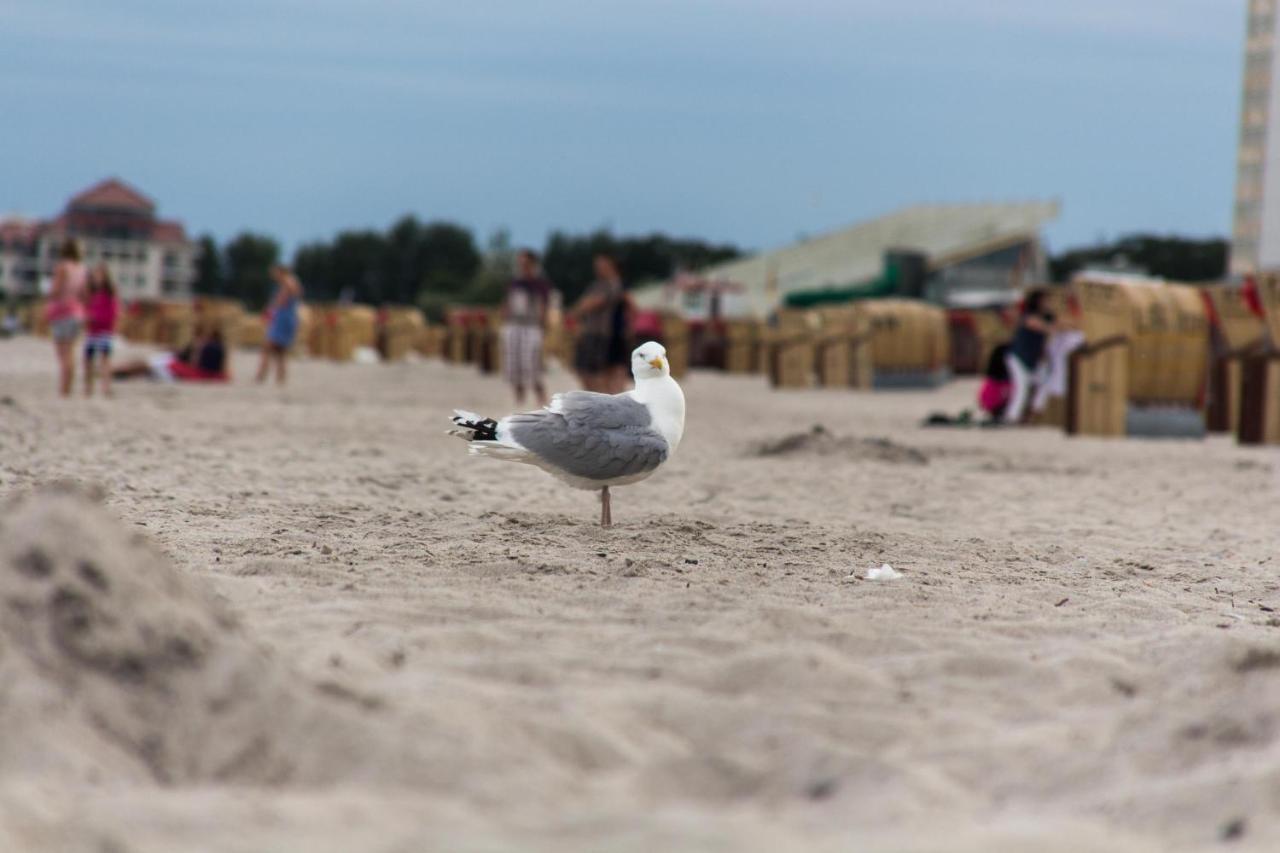 Ferienwohnungen-Neue-Tiefe-Wohnung-Kleiderbuegel Neue Tiefe Fehmarn Esterno foto